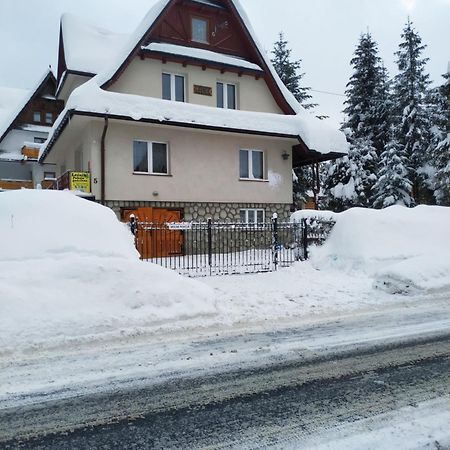 Dom Lesnik Apartman Zakopane Kültér fotó