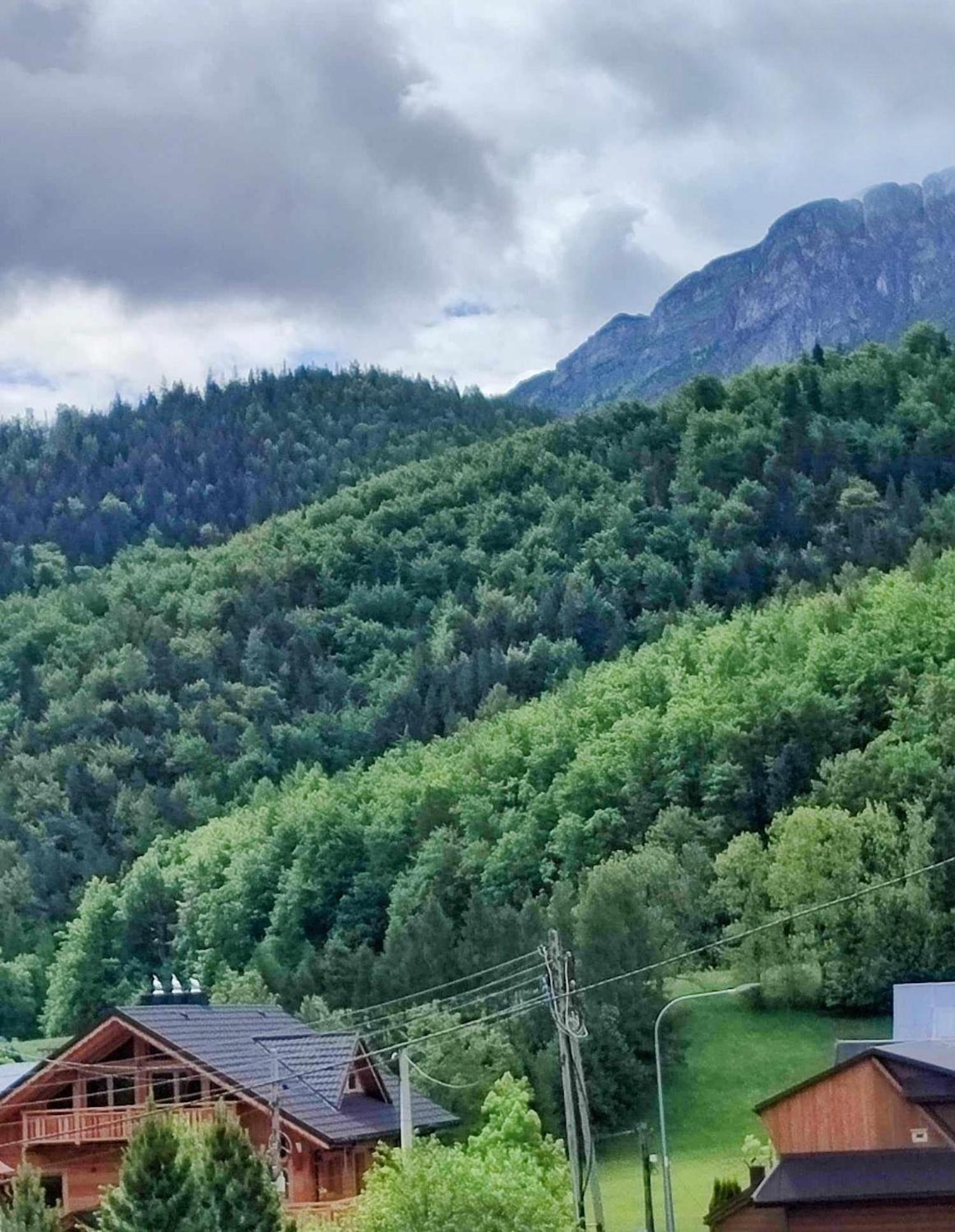 Dom Lesnik Apartman Zakopane Kültér fotó