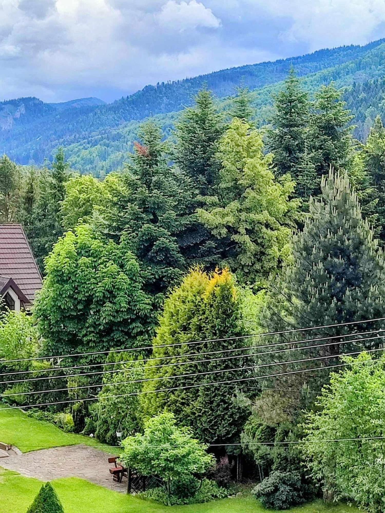 Dom Lesnik Apartman Zakopane Kültér fotó