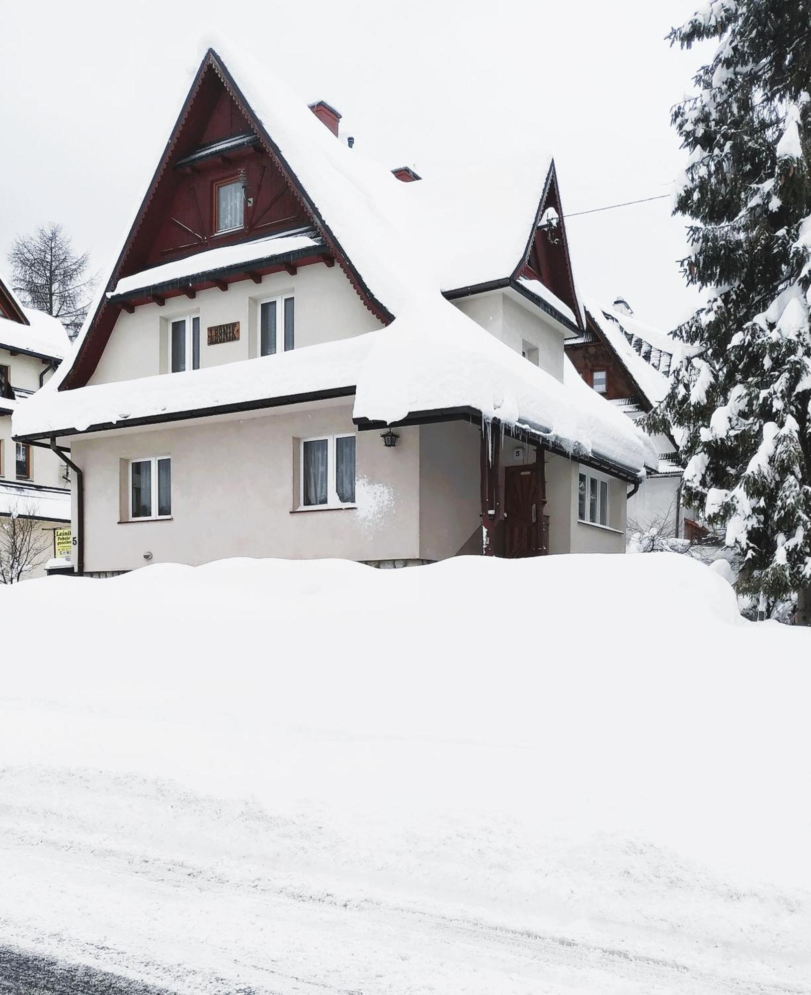 Dom Lesnik Apartman Zakopane Kültér fotó