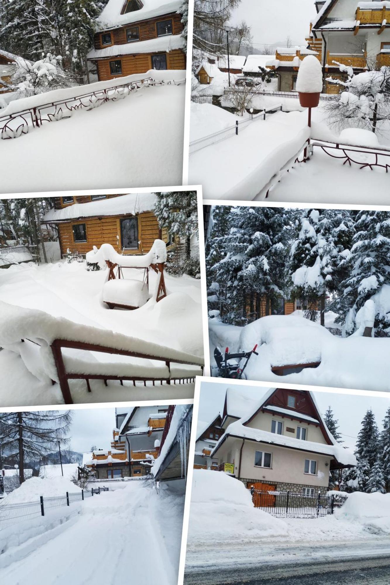 Dom Lesnik Apartman Zakopane Kültér fotó